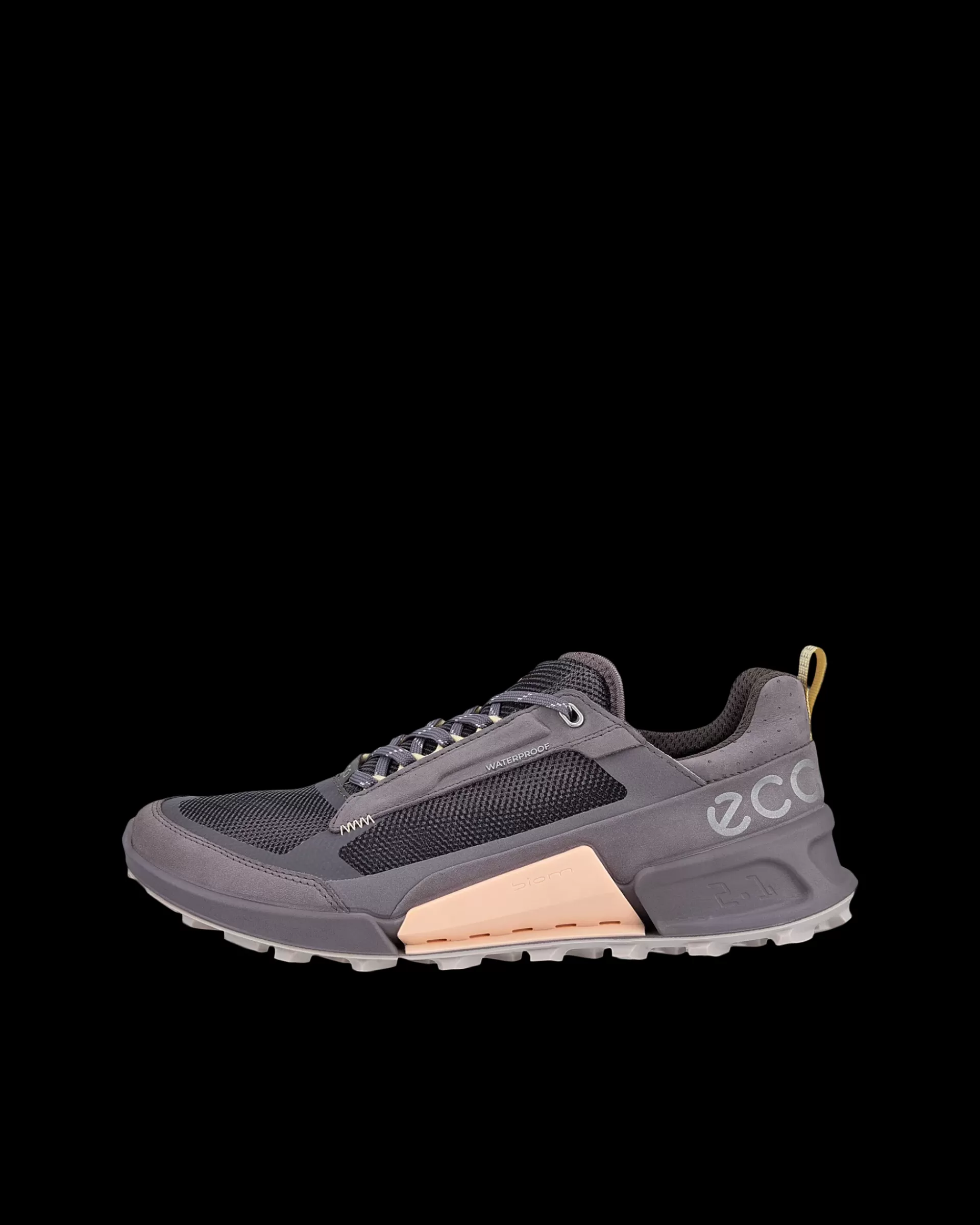 BIOM 2.1 X MOUNTAIN W^ECCO Shop