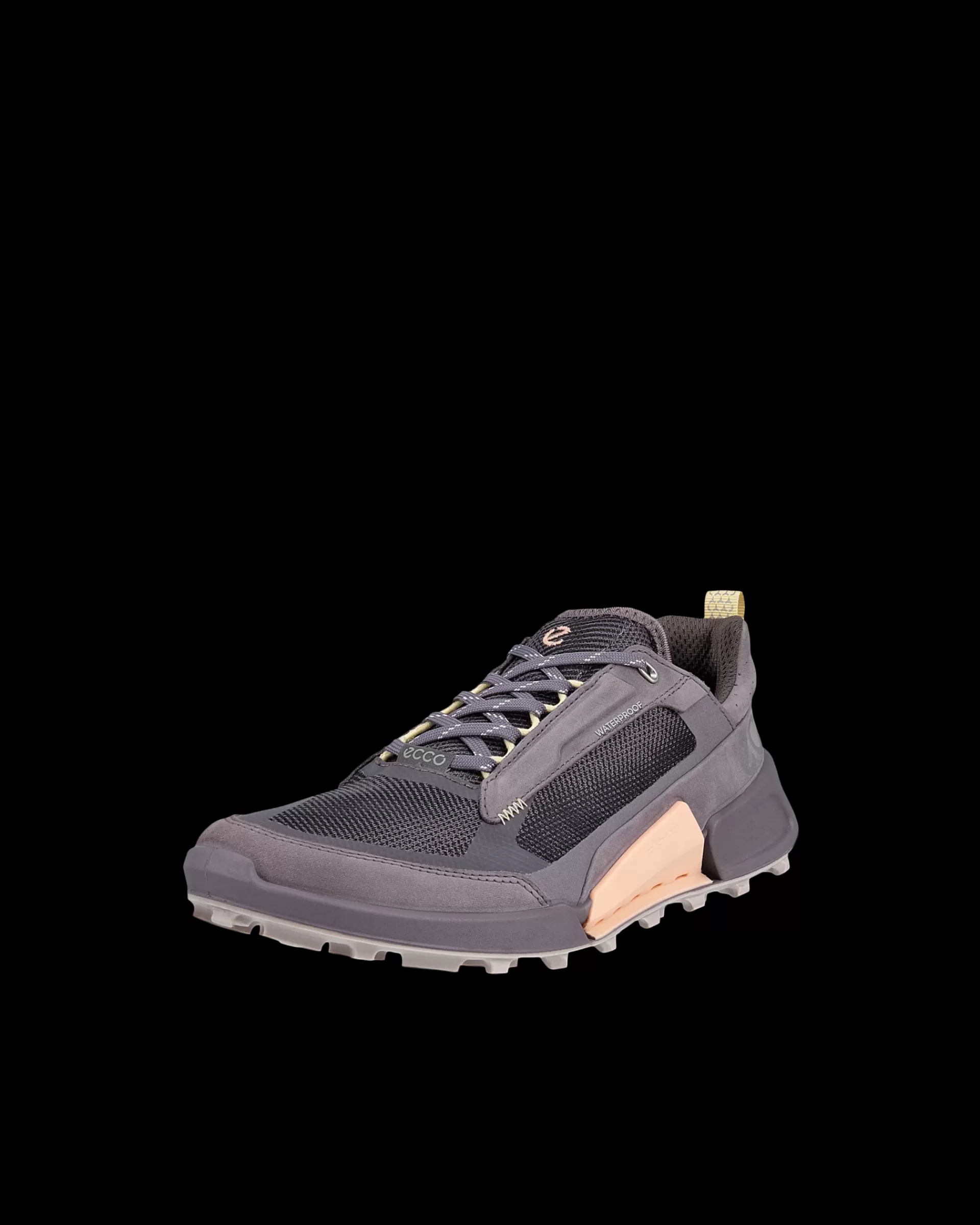 BIOM 2.1 X MOUNTAIN W^ECCO Shop