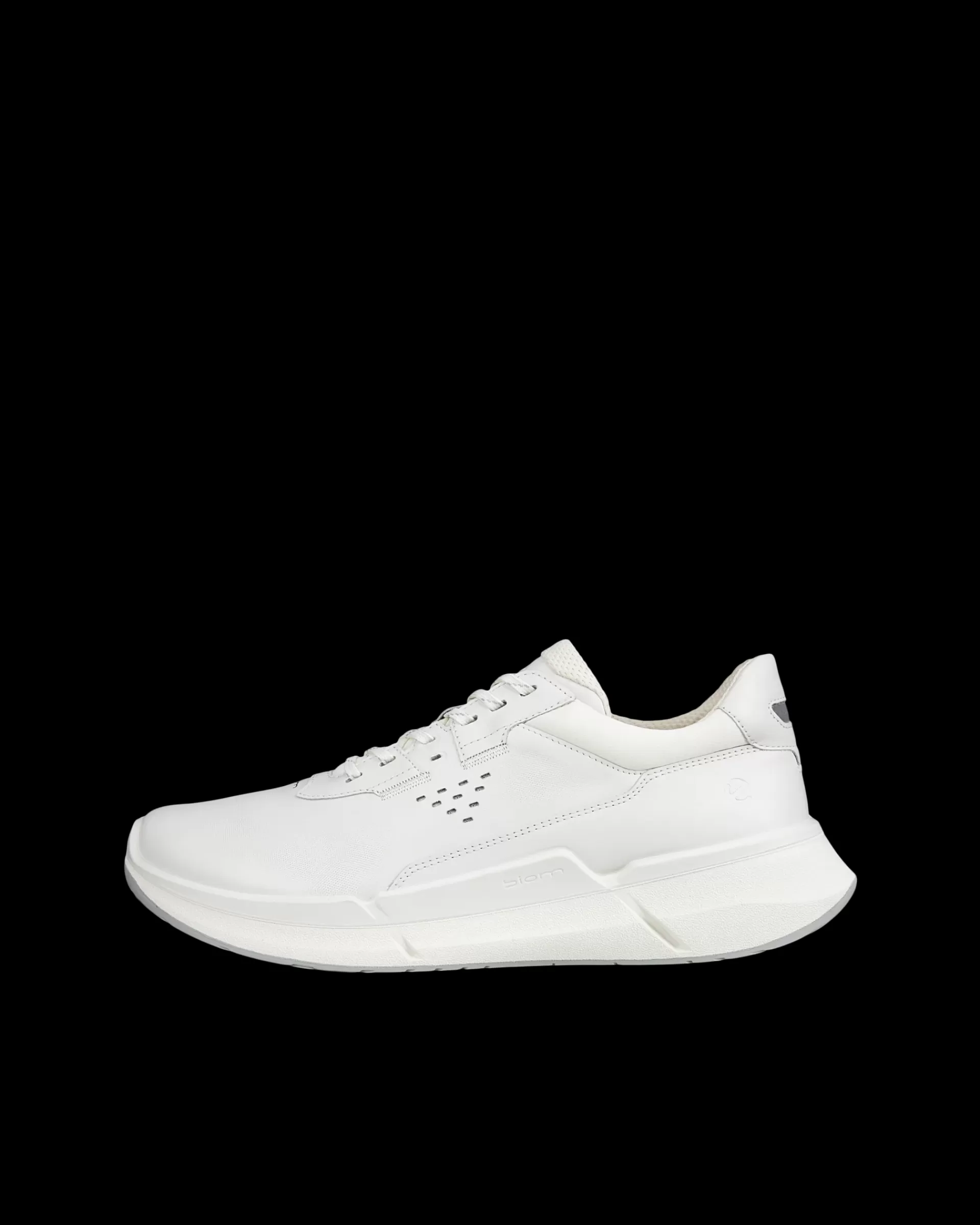 BIOM 2.2 M^ECCO Hot