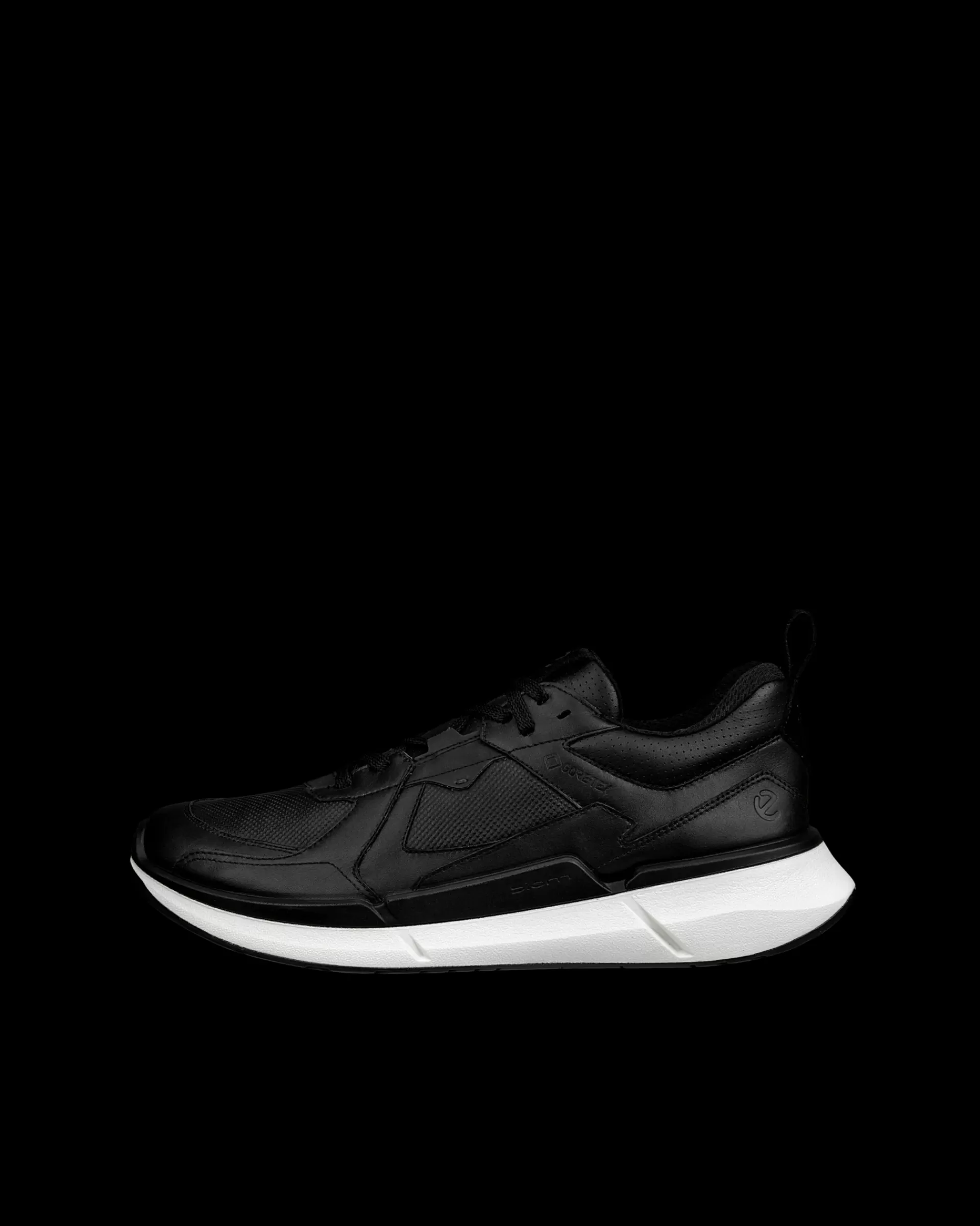BIOM 2.2 M^ECCO Online