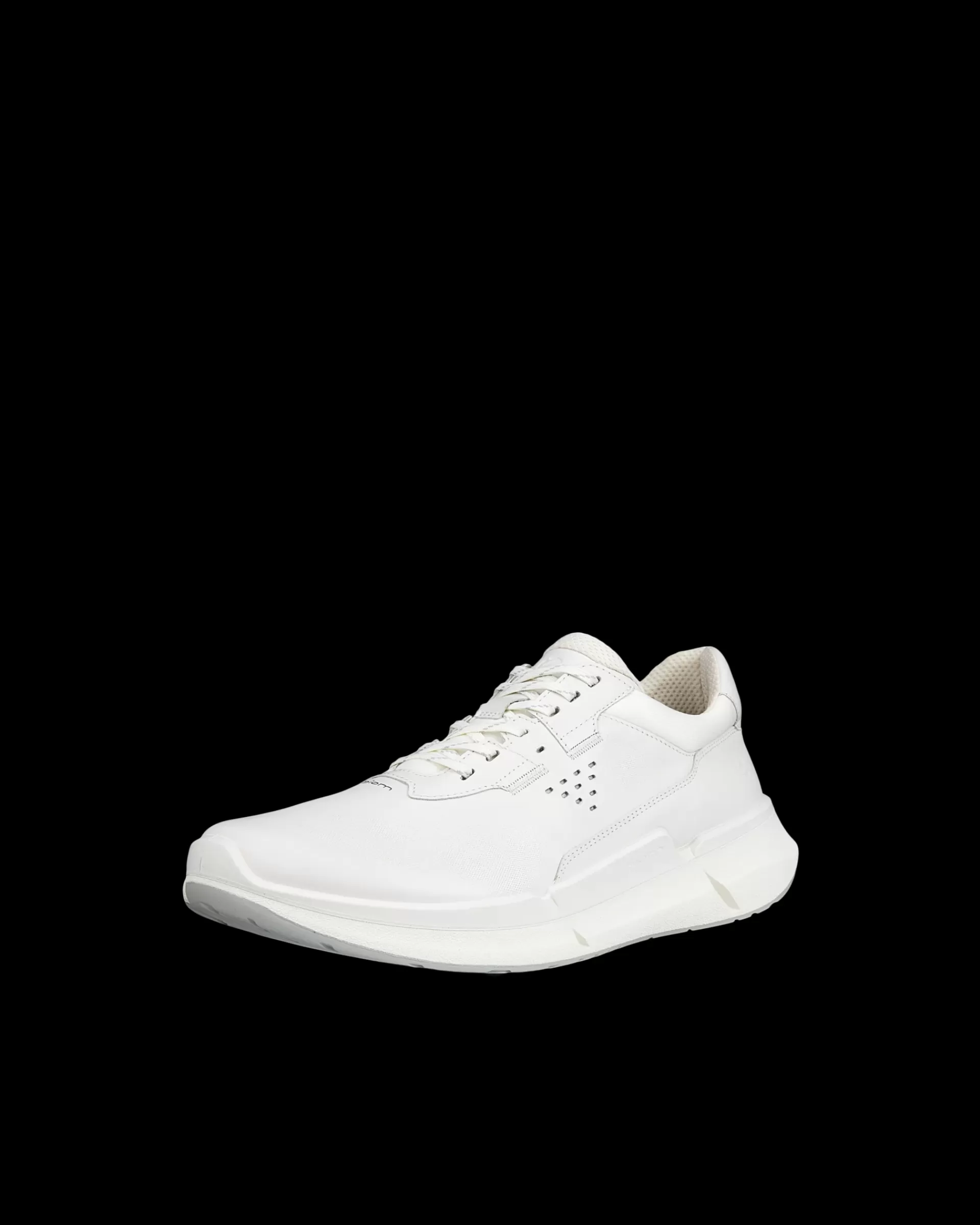 BIOM 2.2 M^ECCO Hot