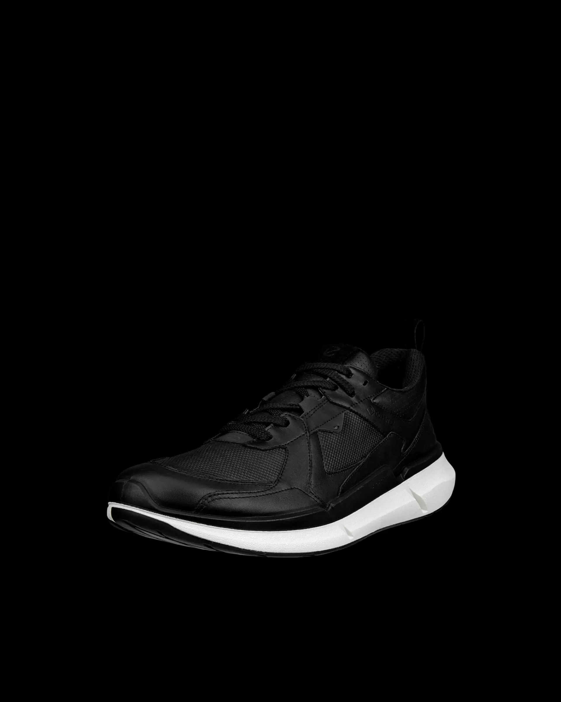 BIOM 2.2 M^ECCO Online