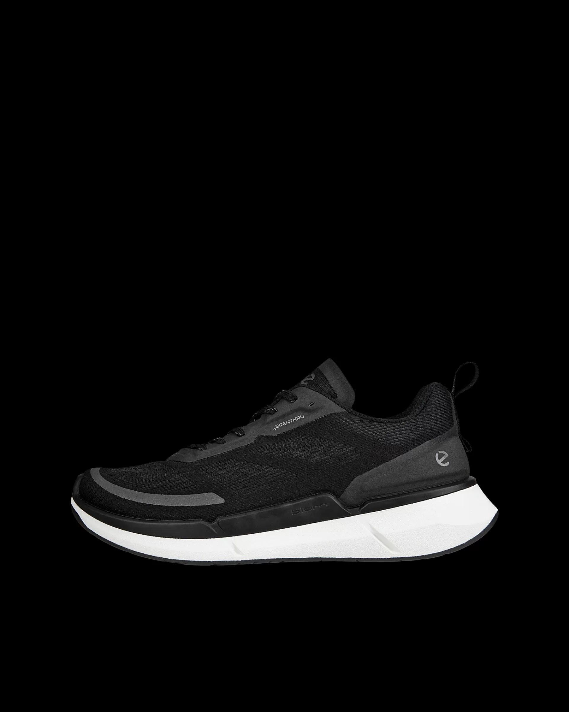 BIOM 2.2 W^ECCO Online